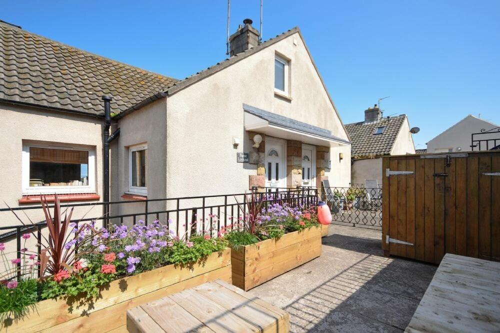 Villa Farne Lookout Seahouses Exterior foto